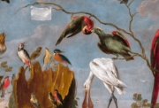 rans Snyders, Concert d'oiseaux, 1629-1630 - © Museo Nacional del Prado, Madrid